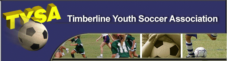South Texas Youth Soccer Association